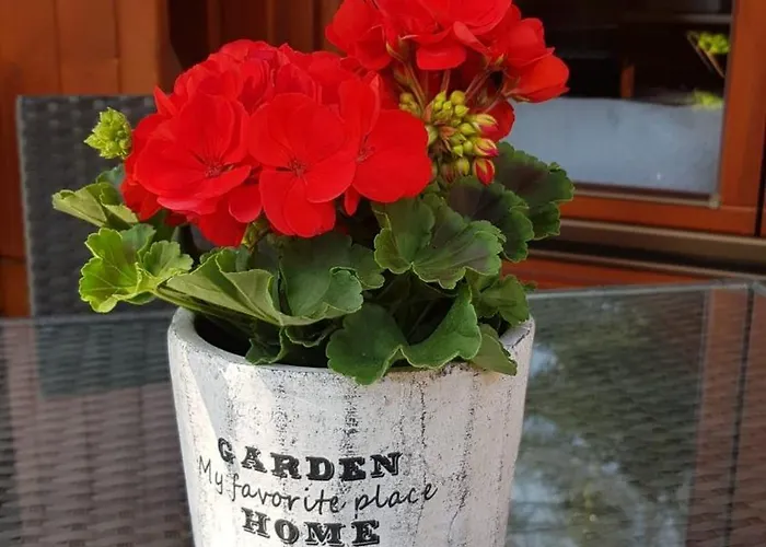 Z Bali W Poddabiu Alpesi faház Poddąbie